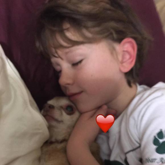 Meet your Posher, Kristi - Picture 1 of 1